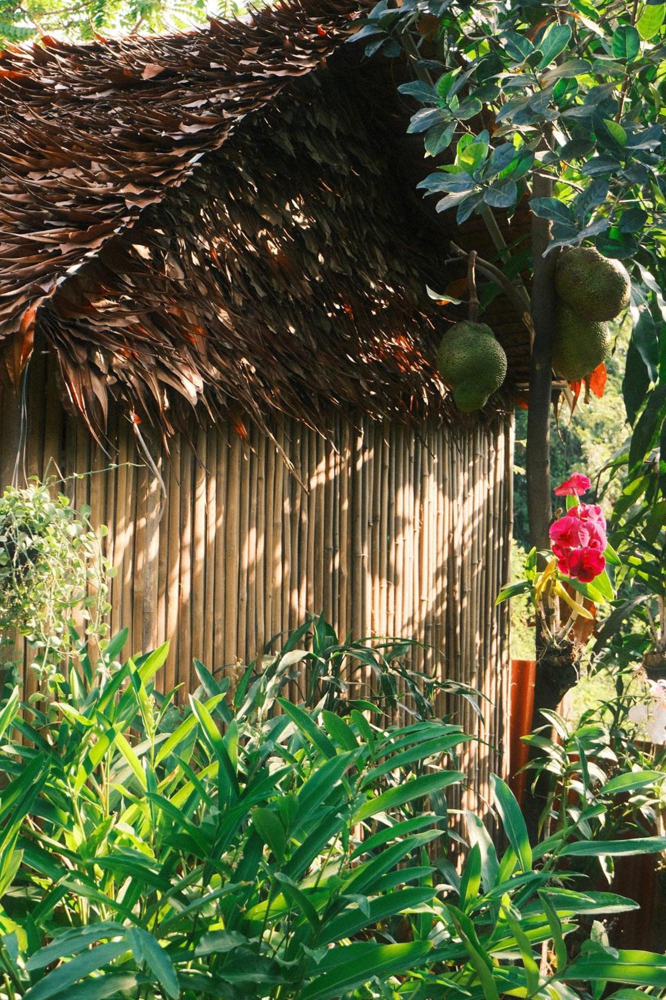 Siem Reap Homesteading II Esterno foto