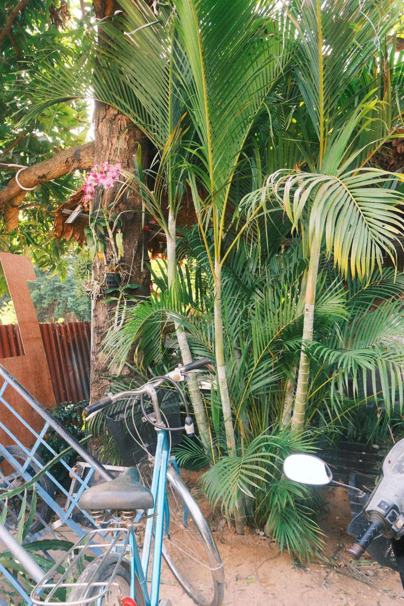Siem Reap Homesteading II Esterno foto